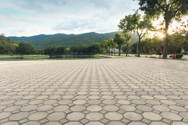 Best Professional Driveway Pavers  in Nolensville, TN
