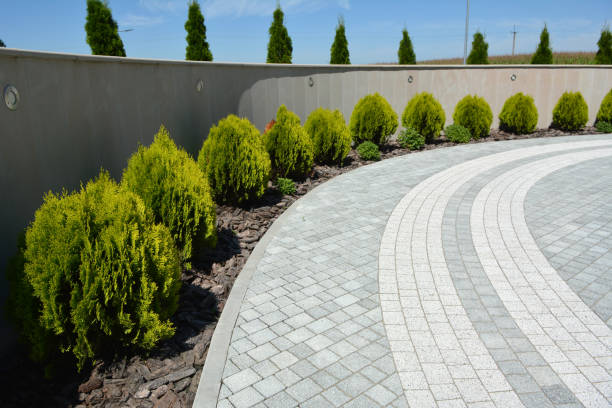 Best Decorative Driveway Pavers  in Nolensville, TN